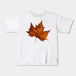 Maple Autumn Leaves Kids T-Shirt